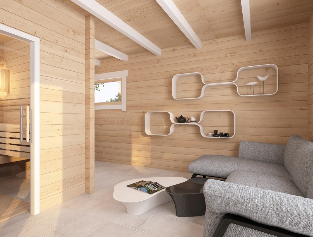 Design Saunablockhaus VIGGO